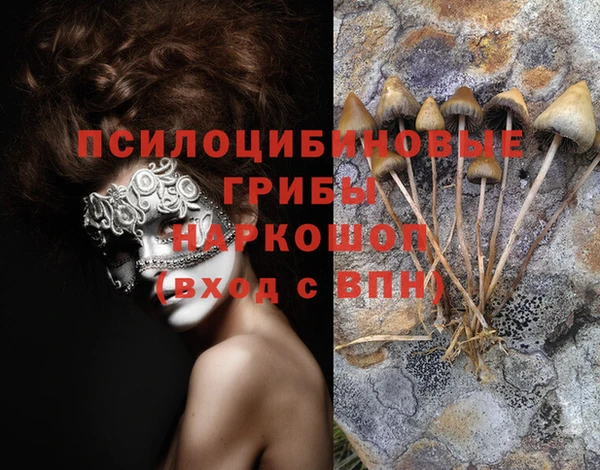 дживик Алексеевка