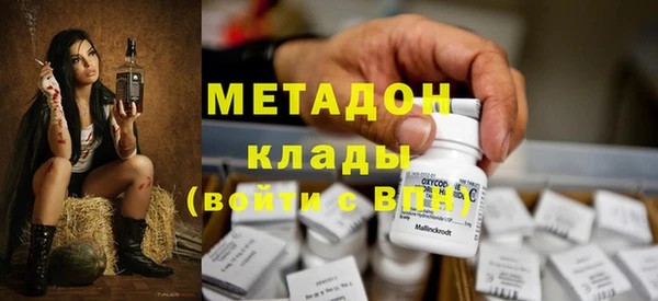 стаф Алзамай