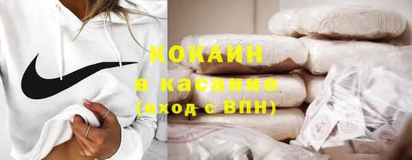 стаф Алзамай