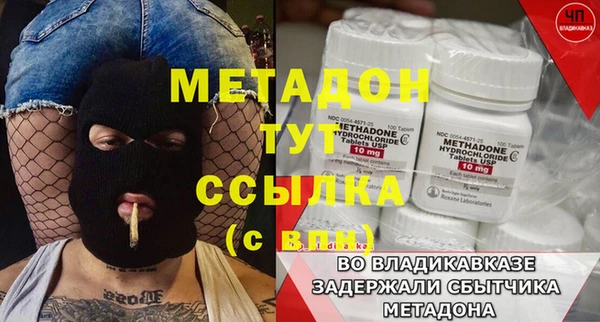 стаф Алзамай