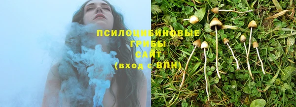 стаф Алзамай