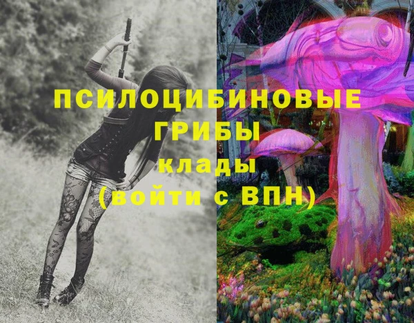 бутират Алексин