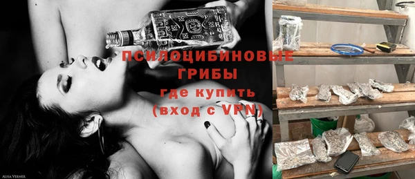 стаф Алзамай