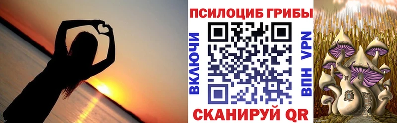 что такое   Балабаново  Галлюциногенные грибы Magic Shrooms 
