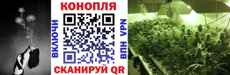 Марихуана OG Kush Балабаново